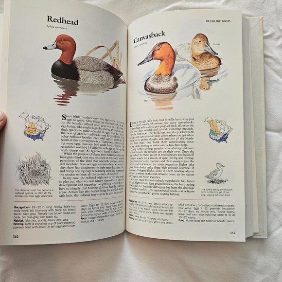 Birds of North America Book - Picture 6 of 6